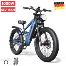 Elektrofahrrad für