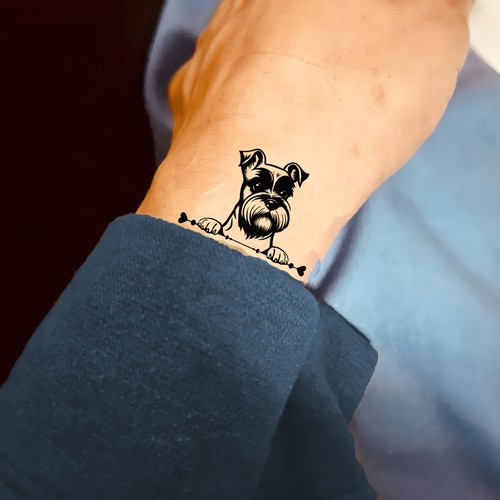 Miniatur schnauzer hund - miniatur,