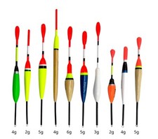 10 Stück Allround Angel Posen 2g - 6g Angelpose Set Laufpose Schwimmer Float