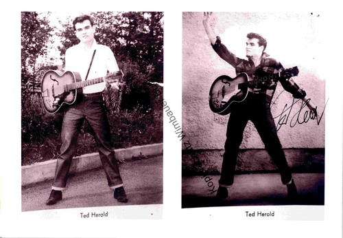 Original autogramm ted herold - original,