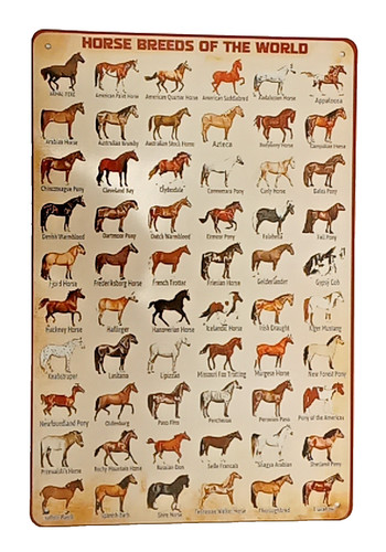 Deko blechschild horse breeds - deko,