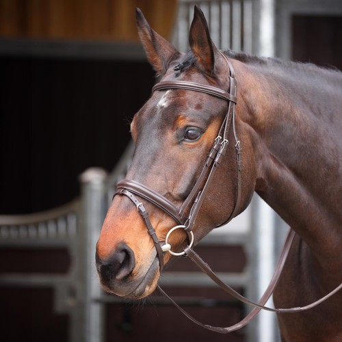 Shires velociti gara comfort - gara,