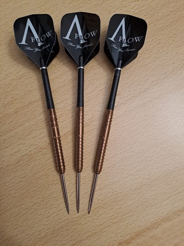 Steeldarts dynasty willem - steeldarts,