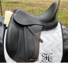 17 1/2 Peter Horobin dressage