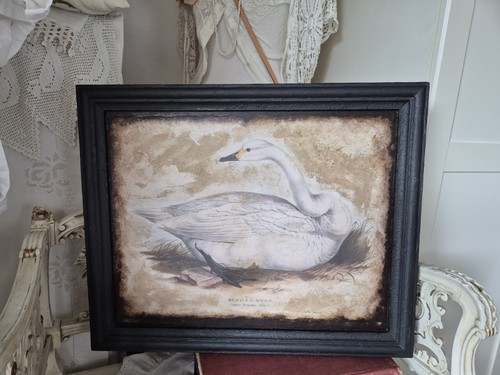 Country stil dekobild schwan - dekobild,