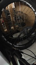26"  Hinterrand,Alexrims Disc