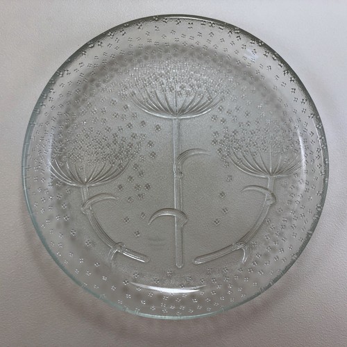 Rosenthal blütenregen - rosenthal,