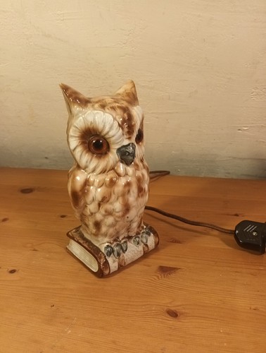 Büchereule auf bücher - auf,