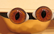 Tieraugen  Glas, honigfarbene