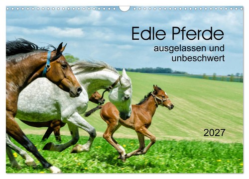 Edle pferde ausgelassen und - -,