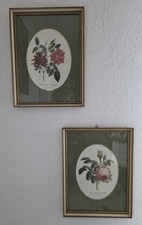 2 Botanische Drucke | Ovales