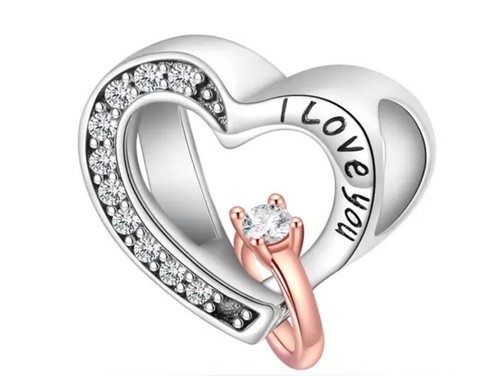 Charm anhänger silber - charm,
