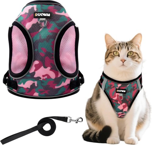Katzen geschirr set - katzen,