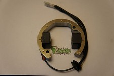 Selettra Stator für KTM Minicross SX 50 Minibike  R2904 R 2904 Bambine Kart Dmon