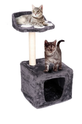 Katzen kratzbaum höhe cm - katzen,