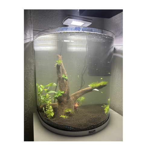 Tetra aquaart explorer line - explorer,
