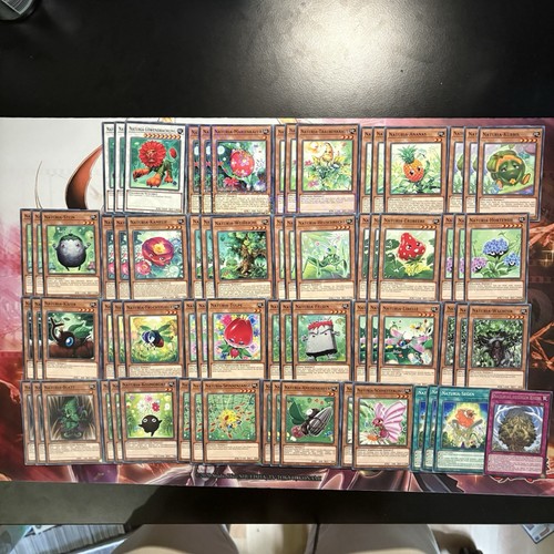 Sale yugioh naturia deck - naturia,