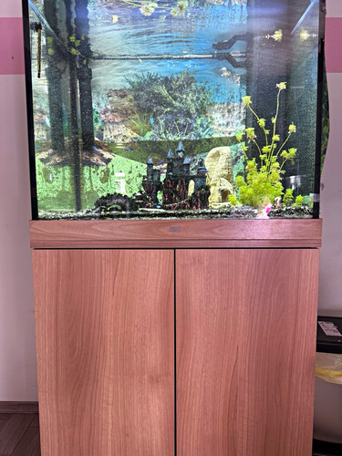 Juwel komplettaquarium lido - juwel,