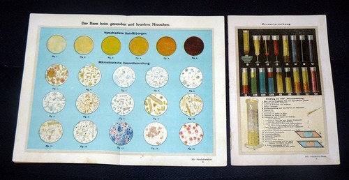 Harnuntersuchung druck 1924 - harnuntersuchung.,