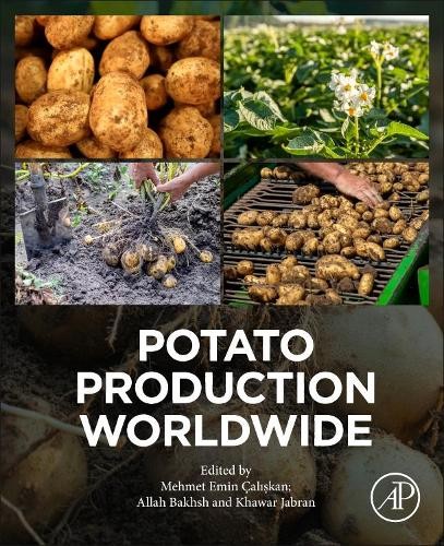 Potato production worldwide - production,