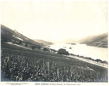 Der Rhein near Burg Sooneck