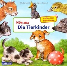 Hör mal (Soundbuch): Die Tierkinder: Zum Hören, Schauen ... | Buch | Zustand gut