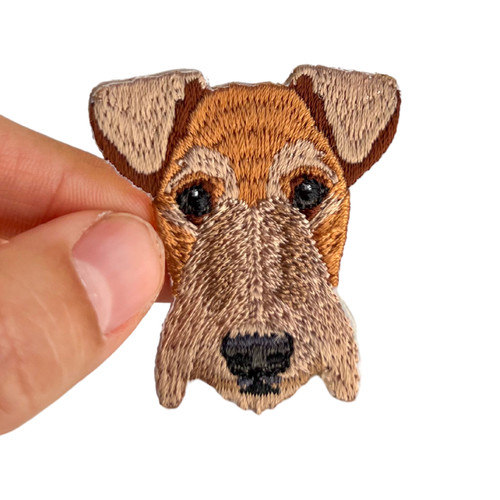Airedale terrier hund - airedale,