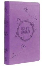 Icb, Holy Bible, Leathersoft