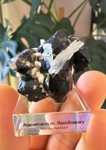 Aquamarin mit rauchquarz - aquamarin,