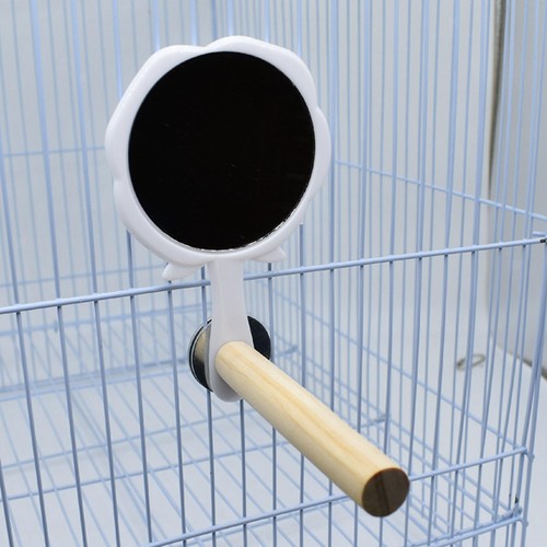 Vogelspiegel mit sitzstange - vogelspiegel,