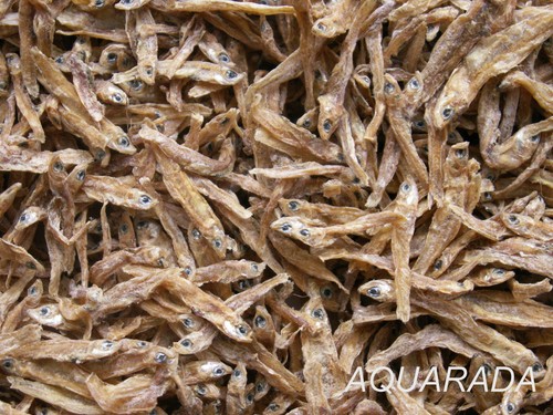 Anchovies trockenfische - 3, l
