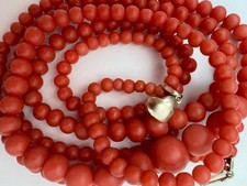 Doppelte Sardegna Edel