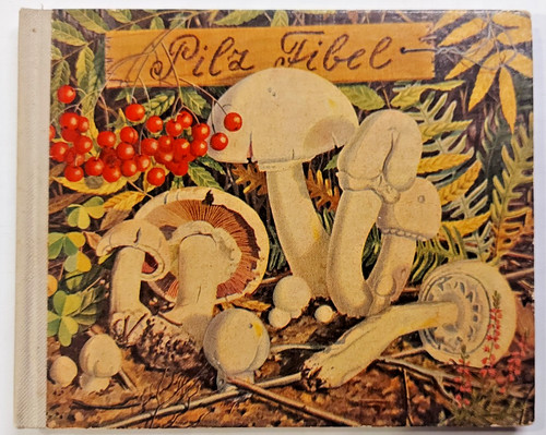 Band pilz fibel verlag - 9,