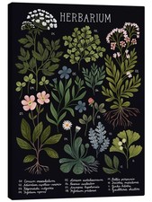Leinwandbild Herbarium