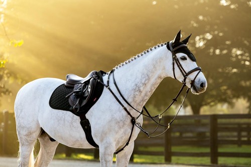 Lemieux brilliance close - lemieux,