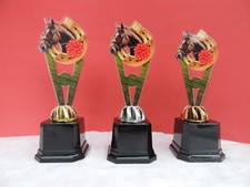 Pferd Turnier Pokal Pokale