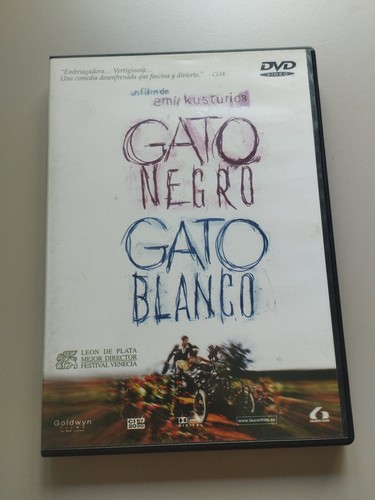 Gato negro blanco emir - gato,