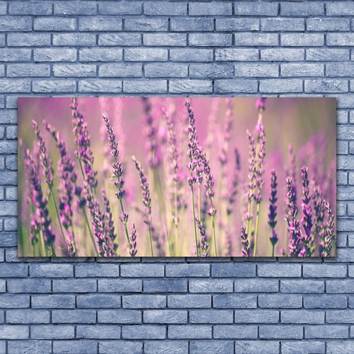 Glasbilder wandbild druck - glasbilder,