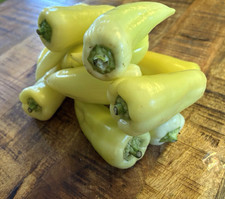 NEU  20 Samen Ungarische Paprika Soroksari gelbe alte ertragreiche Sorte PAPRIKA