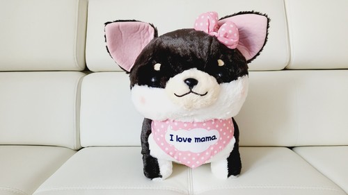 Amufun muchimi chihuahua - muchimi,