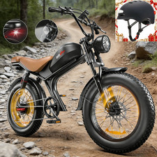 1000W Elektrofahrrad 48V 20Ah