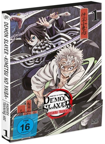 Demon slayer hashira - demon,