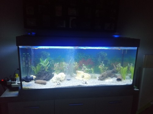 240 aquarium ohne - 240,