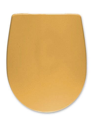 Sitz passend villeroy - wc,