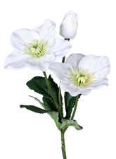 künstlicher Christrosenzweig weiss 35cm Kunstblumen Winterdekoration