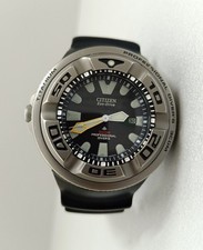 RARE Citizen Ecozilla