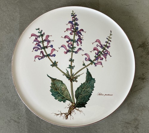 Villeroy boch botanica - villeroy,