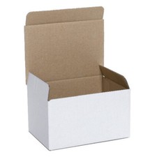 VERSANDKARTONS Geschenkbox KLAPPDECKELKARTONS 250x150x100 mm Innenmass WEISS NEU