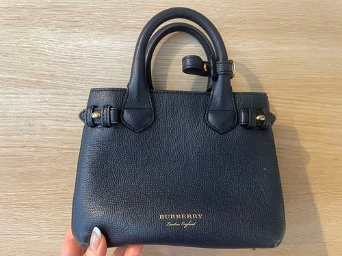Burberry the banner - banner, mini