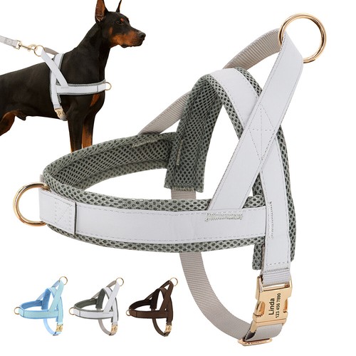 Personalisiertes hundegeschirr - personalisiertes,